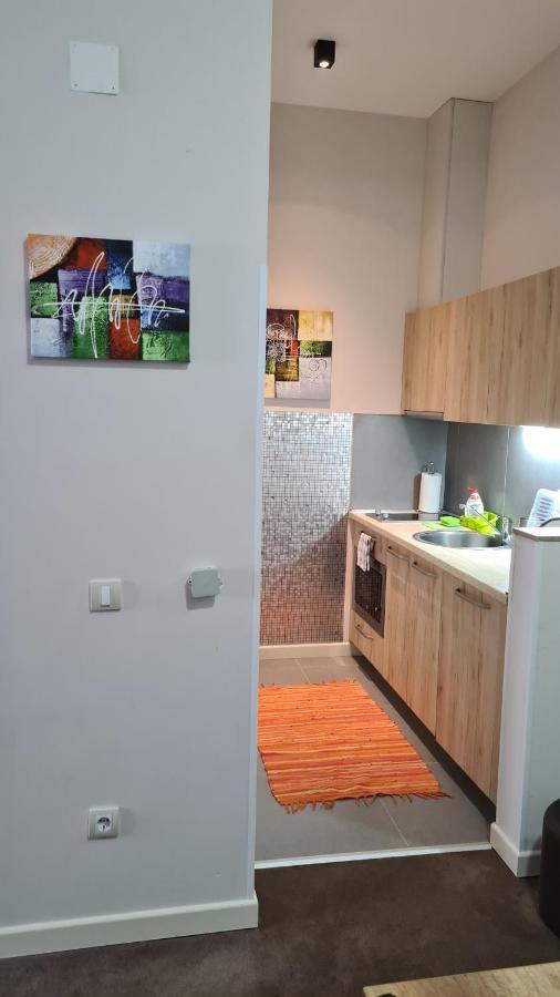 Apartman No1,Zupa Wellness & Spa Kopaonik Ngoại thất bức ảnh
